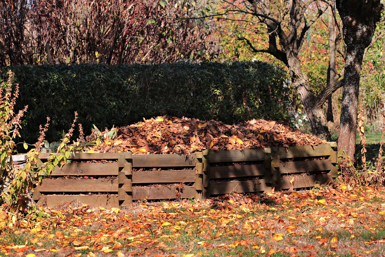 How to Build a DIY Composting Toilet